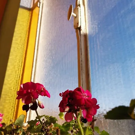 Ad Quintum Torino Bed & Breakfast 4*